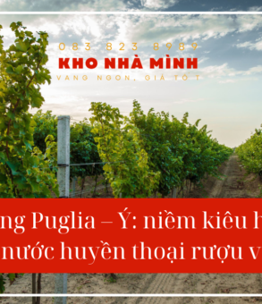 Rượu vang Puglia - Ý ảnh đại diện